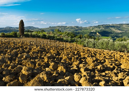 Small Medieval Italian City in Tuscany Surrounded by Plowed Fields, Vineyards and Olive Groves