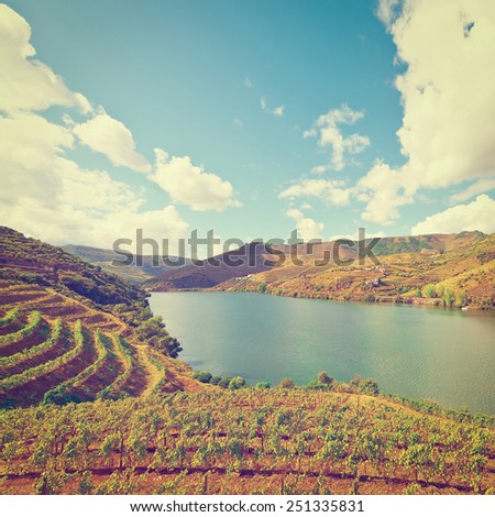 Vineyards in the Valley of the River Douro, Portugal, Instagram Effect