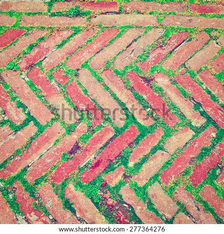 Bricks Laid as Herringbone Pattern with Streaks of Green Grass Between them, Instagram Effect