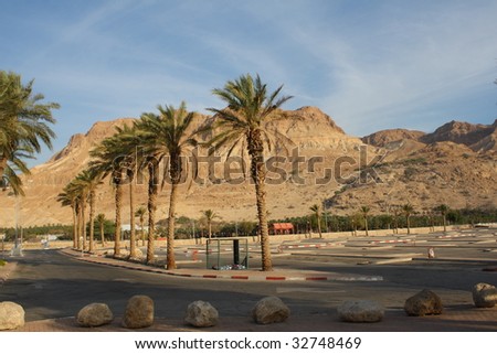 Palm Desert - Palm trees and mountains