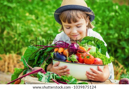 Similar – Image, Stock Photo Fresh bio harvest home garden herbs