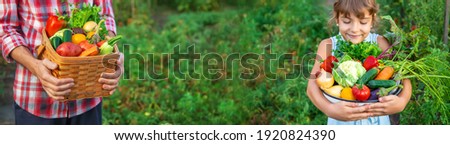 Similar – Image, Stock Photo Child holding green pepper