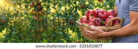 Similar – Image, Stock Photo Apple harvest or man with hat sits under a ripe apple tree