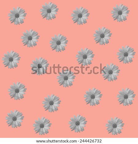 Abstract camomile, chamomile peach background with floral flower pattern. Floral background for floral greeting cards. Floral template, pattern seamless with camomile, chamomile  flowers.