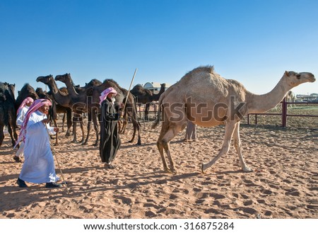 Riyadh, Saudi Arabia - November 8 2007: The camel market \'Souq Al Jamal\' in  the suburb of the city