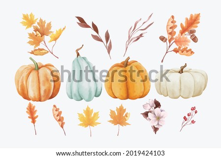 Set of autumn leaves and pumpkins in watercolor style