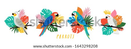 set with cute cartoon parrots illustrations with different palm and monstera leaves in bright colors. Vector illustration of parrot on white background