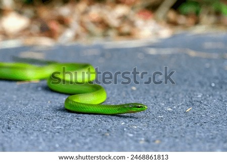 Similar – Image, Stock Photo Spiral of violence Colour