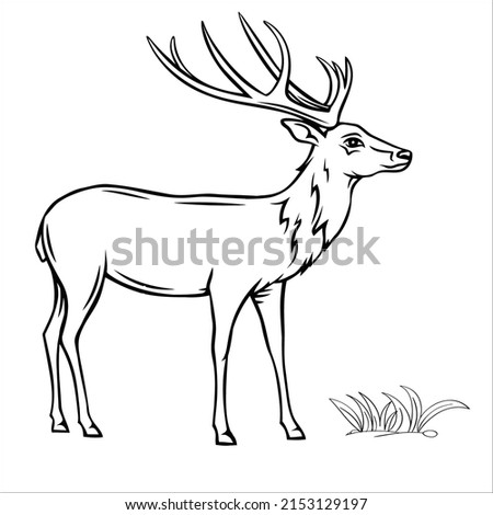 Deer Pictures Drawing | Free download on ClipArtMag