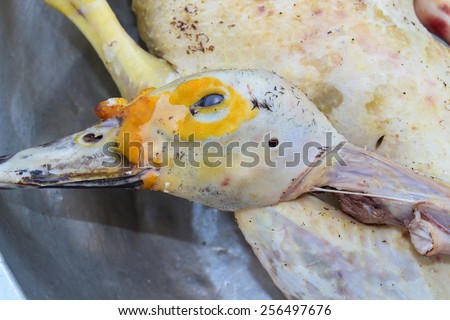 raw duck carcass