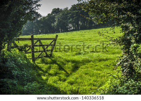 An open gate leading to a field meadow.