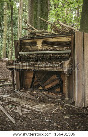 Abandoned and broken piano left in a woodland.