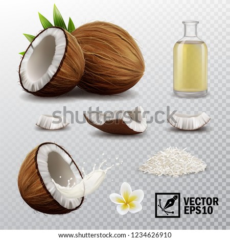 3d realistic vector set of elements (whole and half coconut, coconut chips, splash coconut milk or oil, coconut flower, oil bottle)