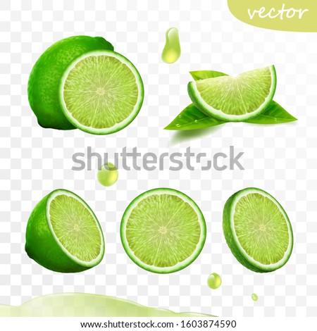3D realistic vector set of elements, whole lime, sliced lime, drop lime oil, leaves