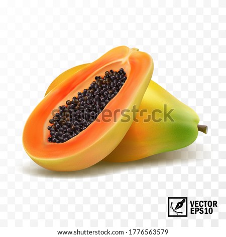 Whole and slices papaya fruit, 3D realistic isolated vector, editable handmade mesh ストックフォト © 