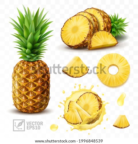 3d realistic isolated vector set of pineapple with juice splash, whole pineapple with leaves and splash with drops, falling pineapple slices in pineapple juice and pieces with a half
