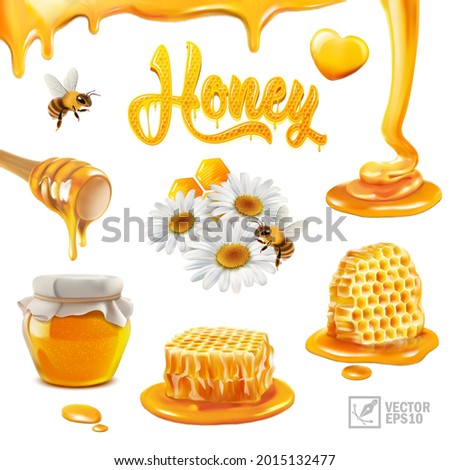 3d realistic vector set with honey, pieces of honeycomb, flying bee, chamomile flowers, propolis, flowing liquid on a stick, puddles and drops of honey, an text inscription in the form of a beehive