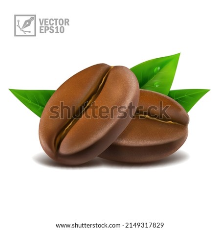 3d realistic macro set of two coffee beans with leaves