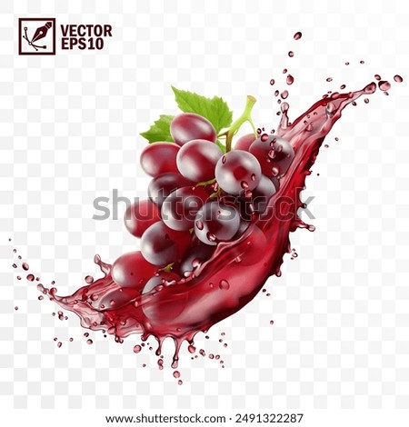 Realistic transparent isolated vector splash of wine or grape juice with red grapes branch