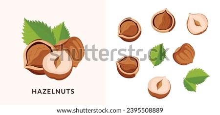 hazelnut design elements set, minimalistic illustration. Botanical elements for design.
