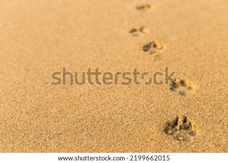 Similar – Image, Stock Photo Traces in the sand