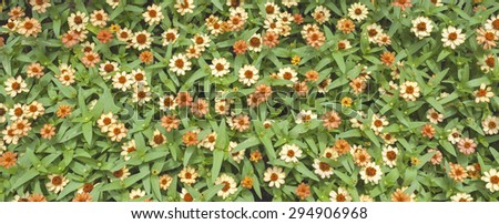 Colorful flower garden background banner style