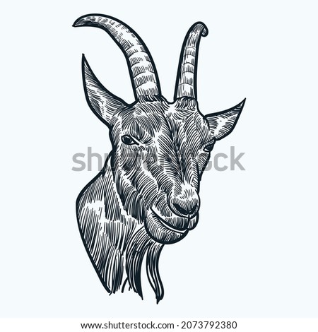 Vintage hand drawn sketch billy goat head