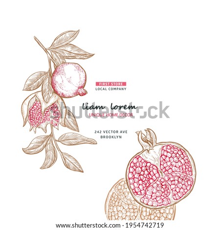 Minimalistic natural pomegranate fruit background, vector brand identity elements for package, card. Pomegranate plant branch with fruits. Hand drawn frame with sketch pomegranate with place for text.