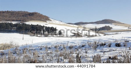 landscape in winter in the northeast of china