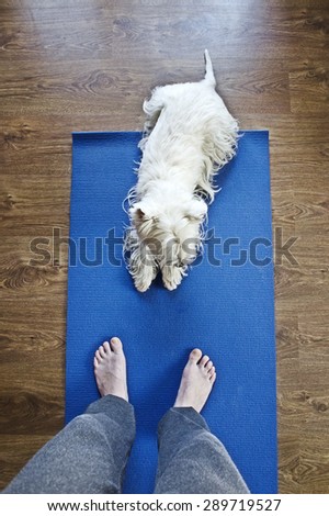 Dog on yoga mat