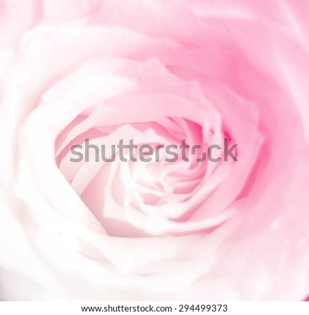 Beautiful rose flowers made with color filters, soft focus