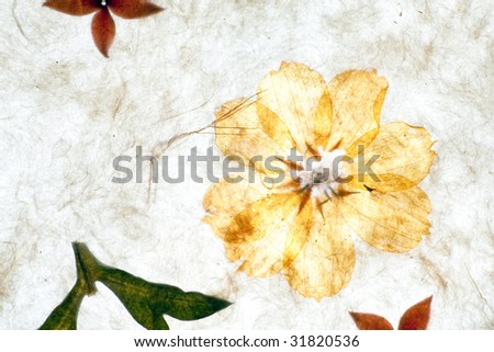 handmade paper background with flowers and textures
