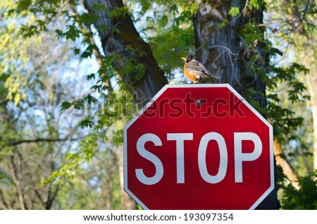 Protect the Environment Ã?Â¢?? Robin and the Stop Sign