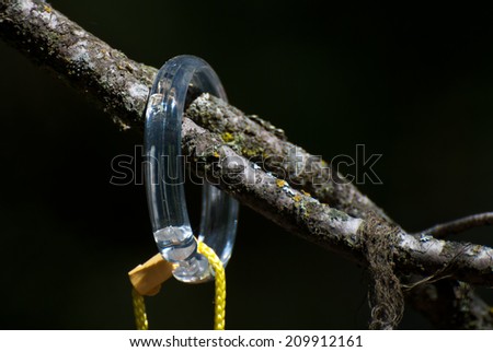 Contradictory Clear Plastic Ring on Natural Tree Branch