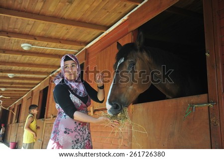 ISTANBUL ,TURKEY - JULY 21: Visitors who come to hippodrome to see horses on July 21, 2012 in Istanbul, Turkey.