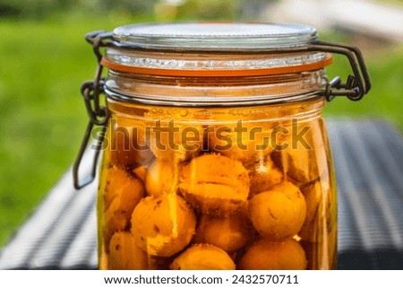 Similar – Image, Stock Photo mirabelle plums Food Fruit