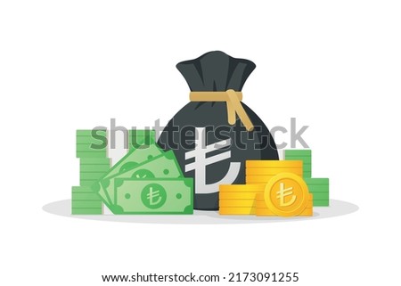 Money bag, banknotes and gold coins with Turkish lira sign. Turkey Cash money icon. Flat style eps-10 Vector illustration isolated on white background.