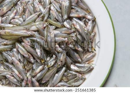 fish small local food of villager thailand