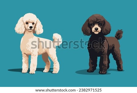 Poodle dogs standing vector cartoon illustration