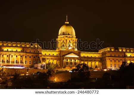 Royal Palace or Buda Castle at night. Budapest, Hungary