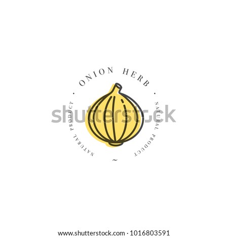 Packaging design template logo and emblem - herb and spice - onion head. Logo in trendy linear style