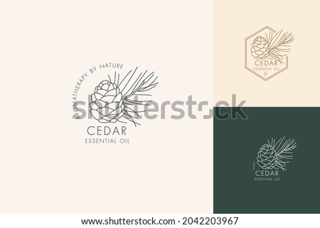 Vector linear set of botanical icons and symbols - cedar. Design logos for essential oil cedar. Natural cosmetic product.