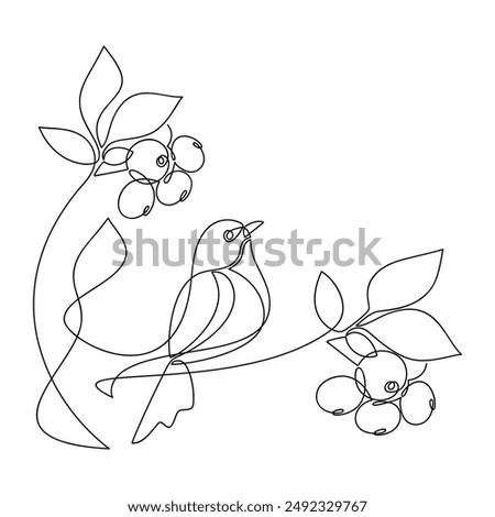 Hand drawn bird vector. One line continuous branch with leaves and berries. Cartoon linear illustration, minimal icon, print, banner, card, poster, brochure, doodle, sign, outline symbol.