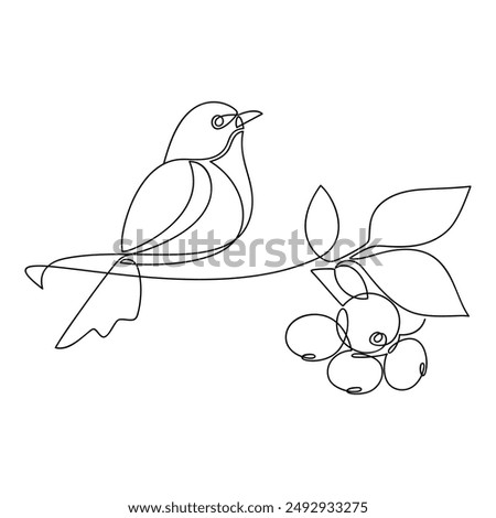 Hand drawn bird vector. One line continuous branch with leaves and berries. Cartoon linear illustration, minimal icon, print, banner, card, poster, brochure, doodle, sign, outline symbol.