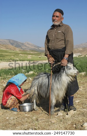CIRCA ISFAHAN, IRAN - JUNE 22, 2007: Unidentified people milk goat on June 22, 2007 circa Isfahan, Iran. Bakhtiari people in Iran follow traditional nomadic and very close to nature lifestyle.