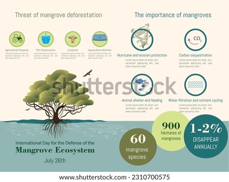 Infographic about the mangrove ecosystem, what is its threat and the importance of the mangrove, silhouette of a mangrove, with icons on a colored background.