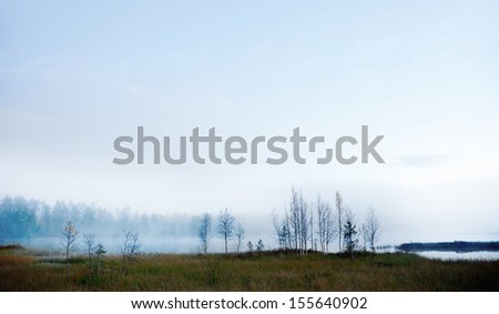 Bare birch trees in autumn, with foggy lake in background