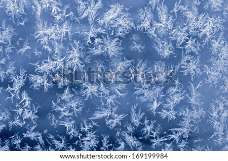 Ice crystals forming beautiful patterns on glass