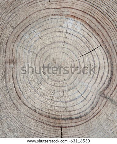 Annual rings in old wood