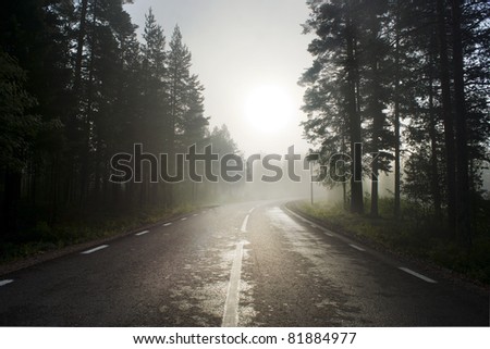 Rural asphalt road in fog